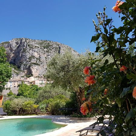 Bastide Des Oliviers Bed & Breakfast Мустие Сен Мари Екстериор снимка