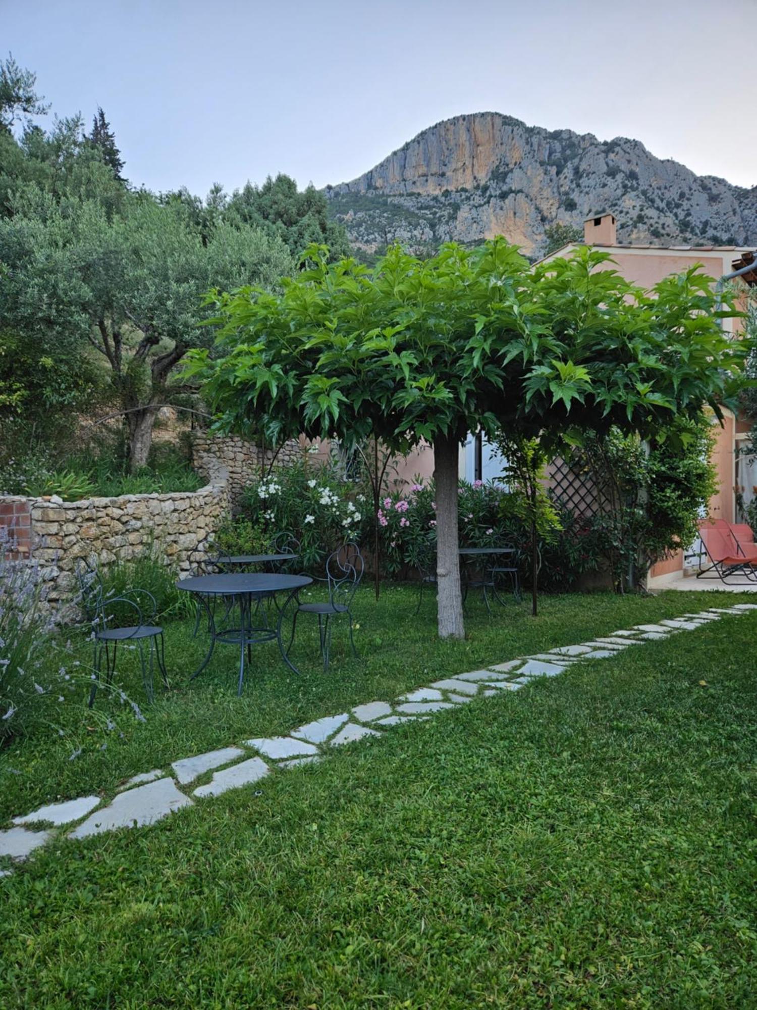Bastide Des Oliviers Bed & Breakfast Мустие Сен Мари Екстериор снимка